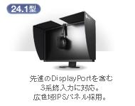 24.1�^