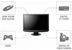 FlexScan HD2451W���顼�վ���˥���