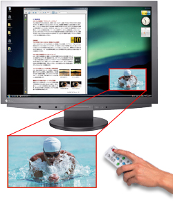 FlexScan HD2452W