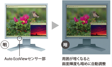 Auto EcoView�C���[�W�}