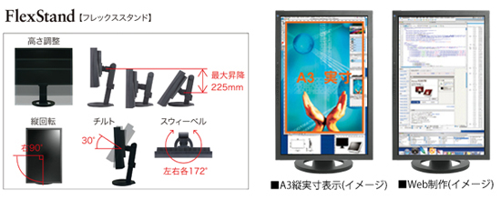 FlexStand�Əc��]