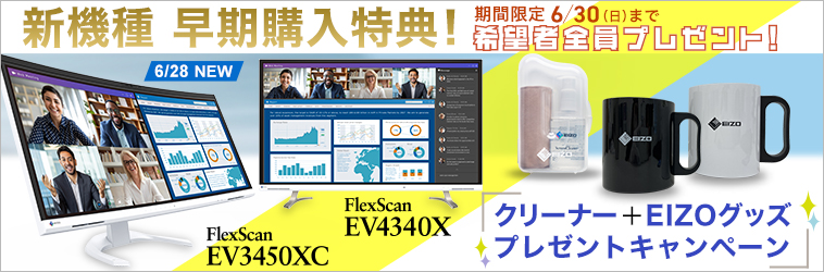FlexScan EV3450XC wLy[